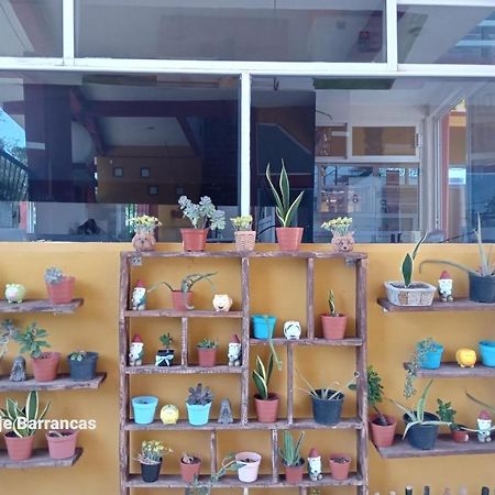 Hospedaje Barrancas Hotel Cosoleacaque Ngoại thất bức ảnh